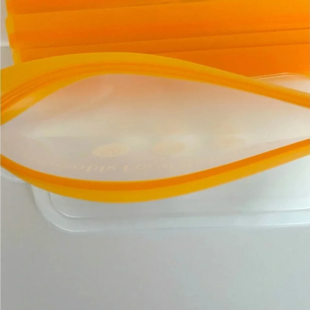 NEW Frosted with Accent Color 12 each Reusable Food Storage Bags